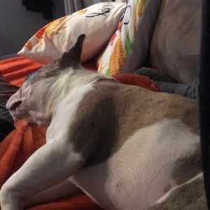 Meet your Posher, Aldo